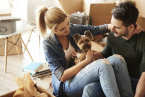 dog grooming